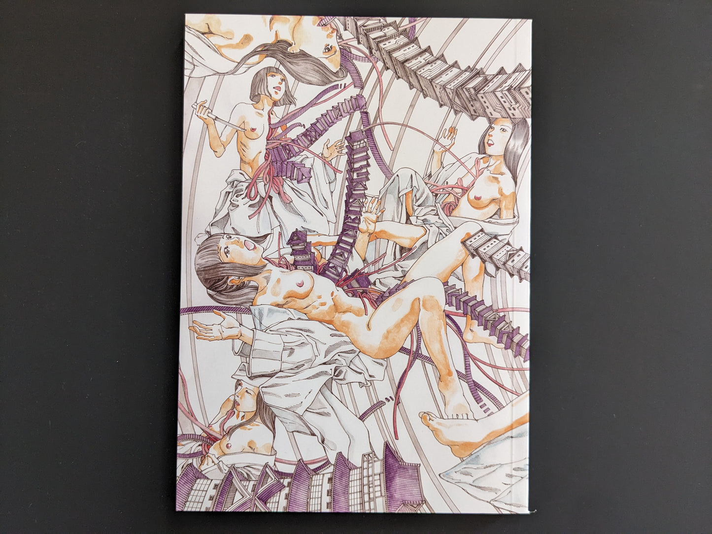 Back cover of "The Twelve Sisters of the Never-ending Castle – Pocket Edition" by Shintaro Kago