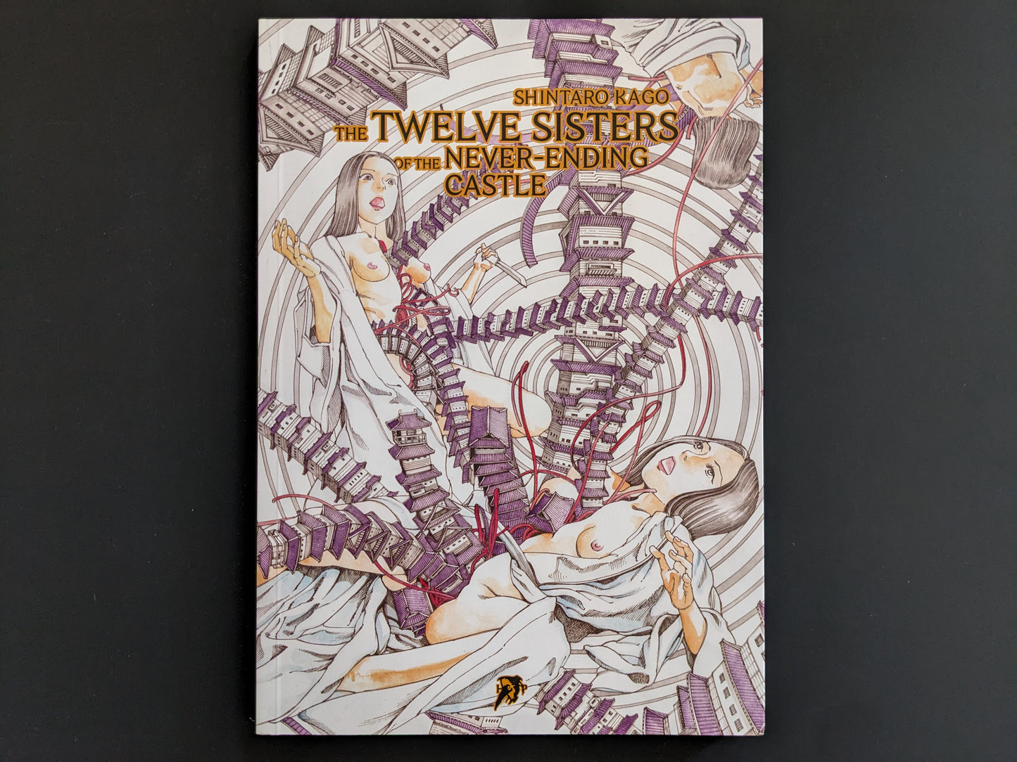Front cover of "The Twelve Sisters of the Never-ending Castle – Pocket Edition" by Shintaro Kago