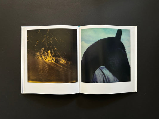 Simone Kappeler, Tomotsugu Nakamura - For a Fleeting Moment - IIKKI - Lokator100