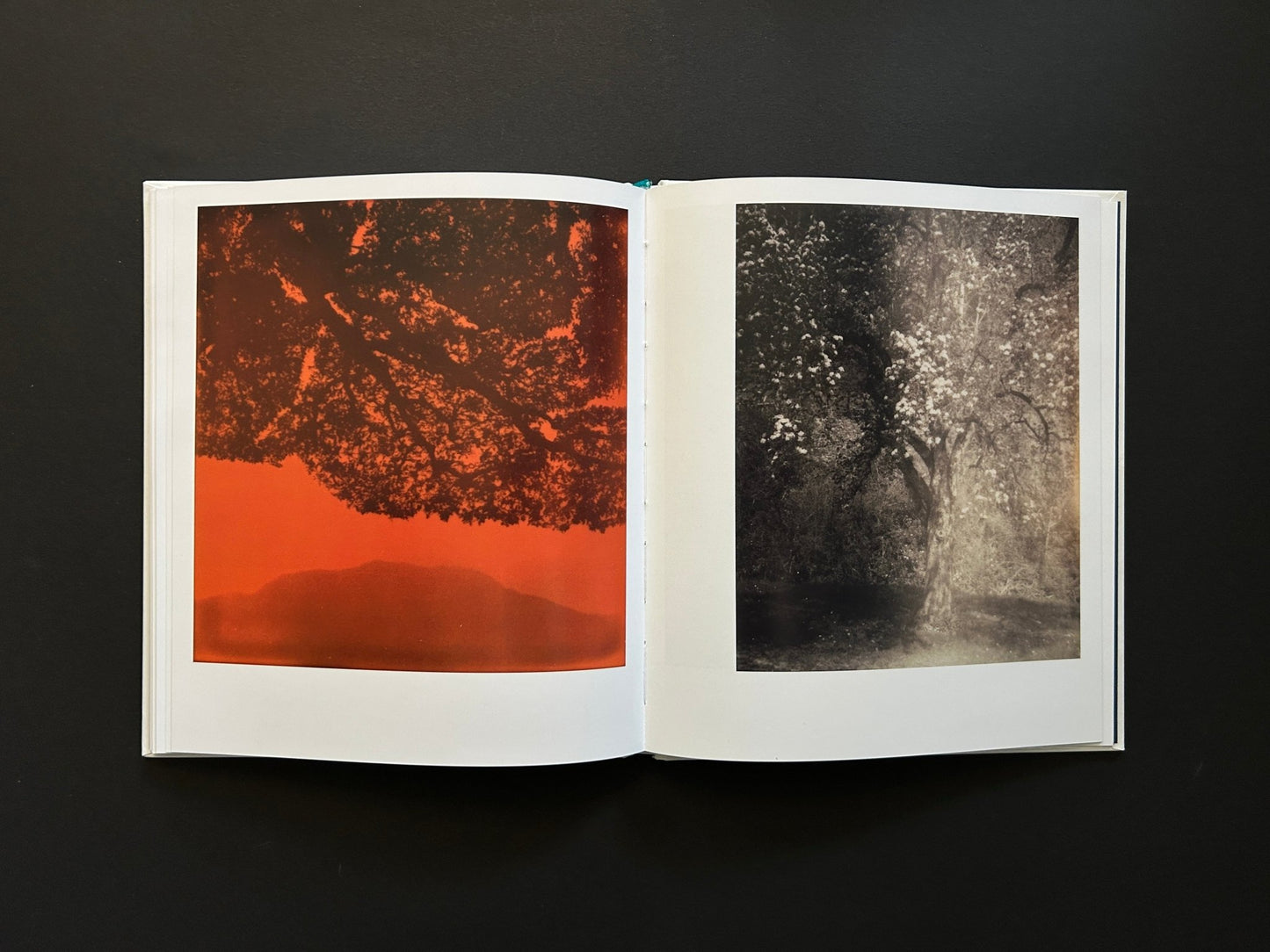 Simone Kappeler, Tomotsugu Nakamura - For a Fleeting Moment - IIKKI - Lokator100