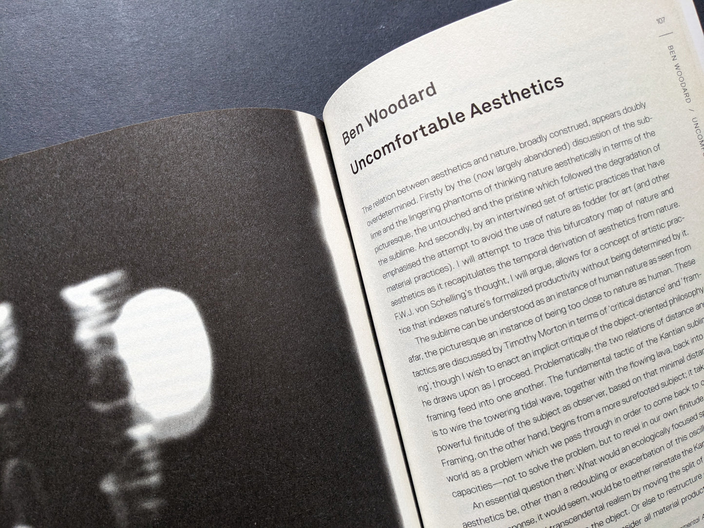 Essay by Ben Woodard titled "Uncomfortable Aesthetics."