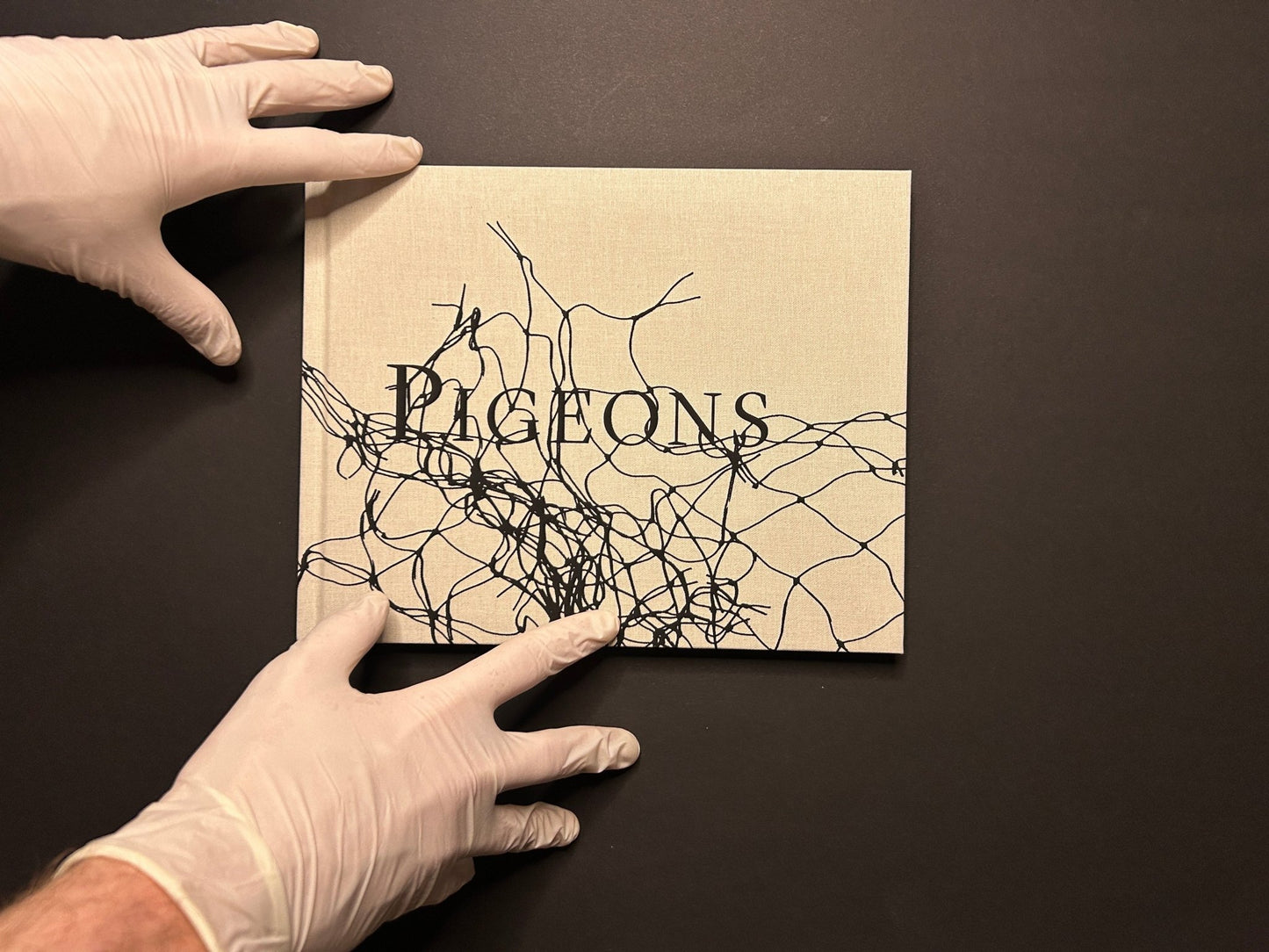 Stephen Gill – Pigeons (Signed copy) - Nobody Books - Lokator100
