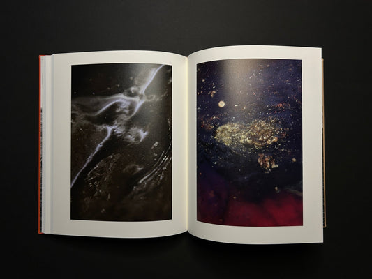 Stephen Gill - Please Notify the Sun (signed copy) - Nobody Books - Lokator100