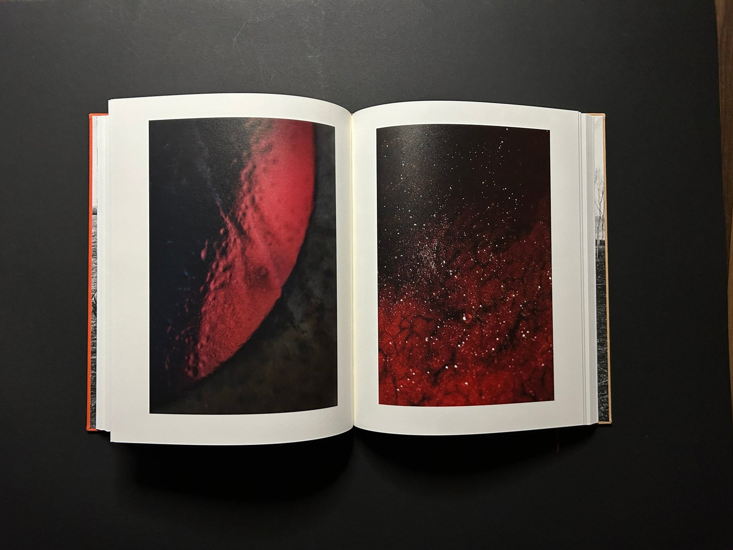 Stephen Gill - Please Notify the Sun (signed copy) - Nobody Books - Lokator100