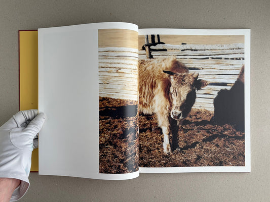Open copy of süü – Taemin Ha showing a spread with a calf in a fenced rural setting.