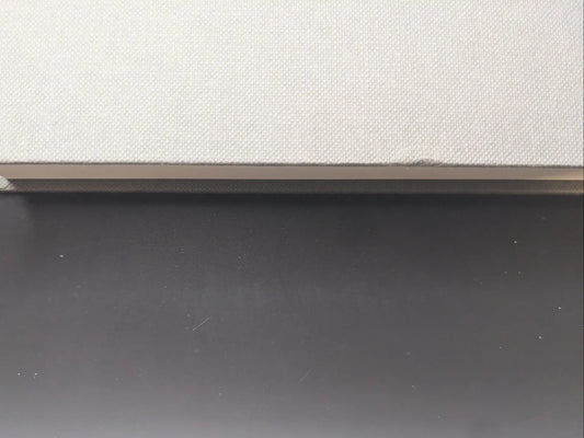 Close-up of the spine of Symphony – mushrooms from the forest by Takashi Homma with minor defect