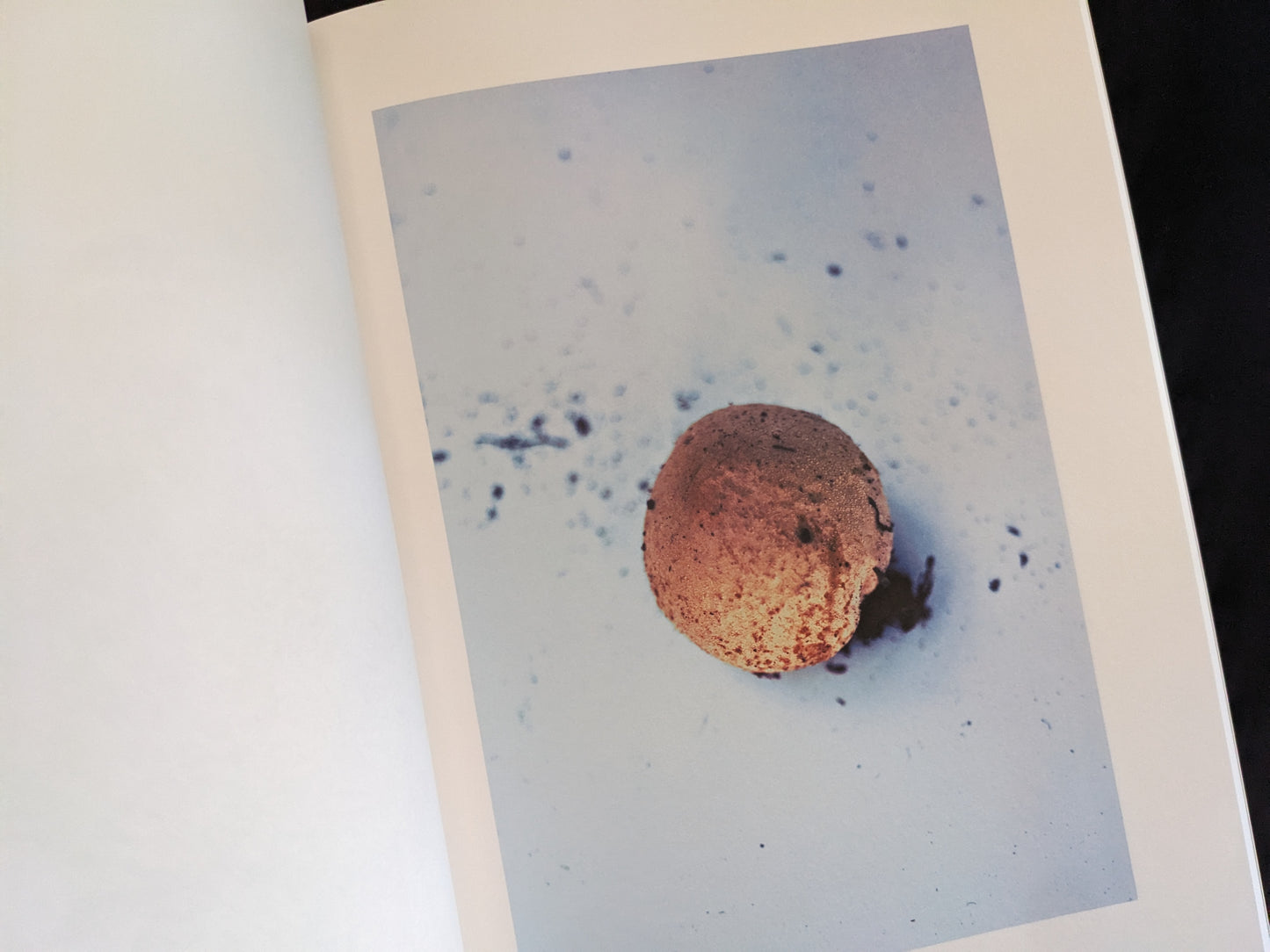 A single round orange mushroom on a light blue-white surface with scattered particles