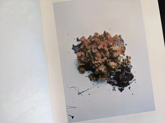 Close-up photo of a yellow-orange radioactive mushroom cluster against a white background