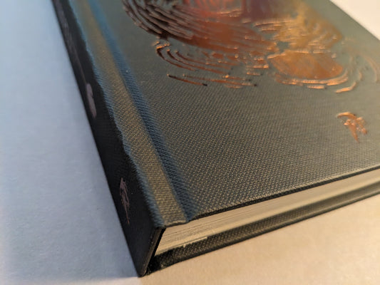 Spine of Teratoid Heights by Mat Brinkman, Museum Edition, black canvas hardcover with bronze foil embossing