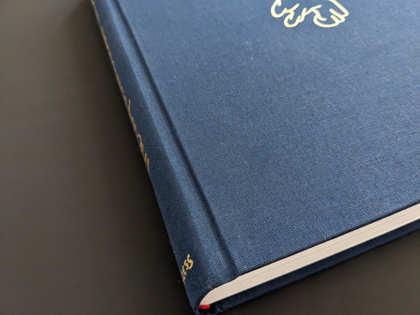 Book spine with gold lettering and visible signs of handling