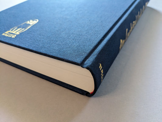 The Cupboard Under The Stars – book spine and cloth texture in detail