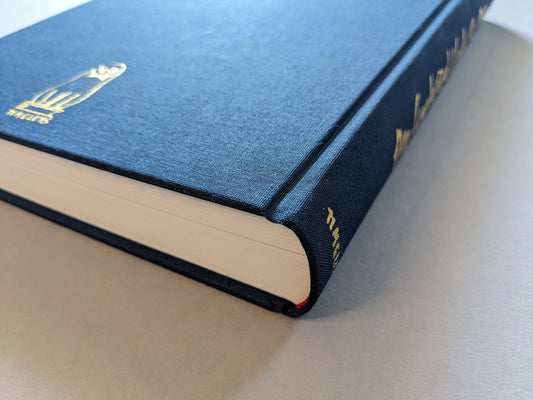 The Cupboard Under The Stars – book spine and cloth texture in detail
