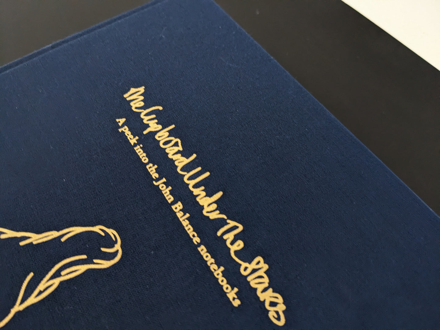 Title detail on blue cloth hardcover with minor surface wear