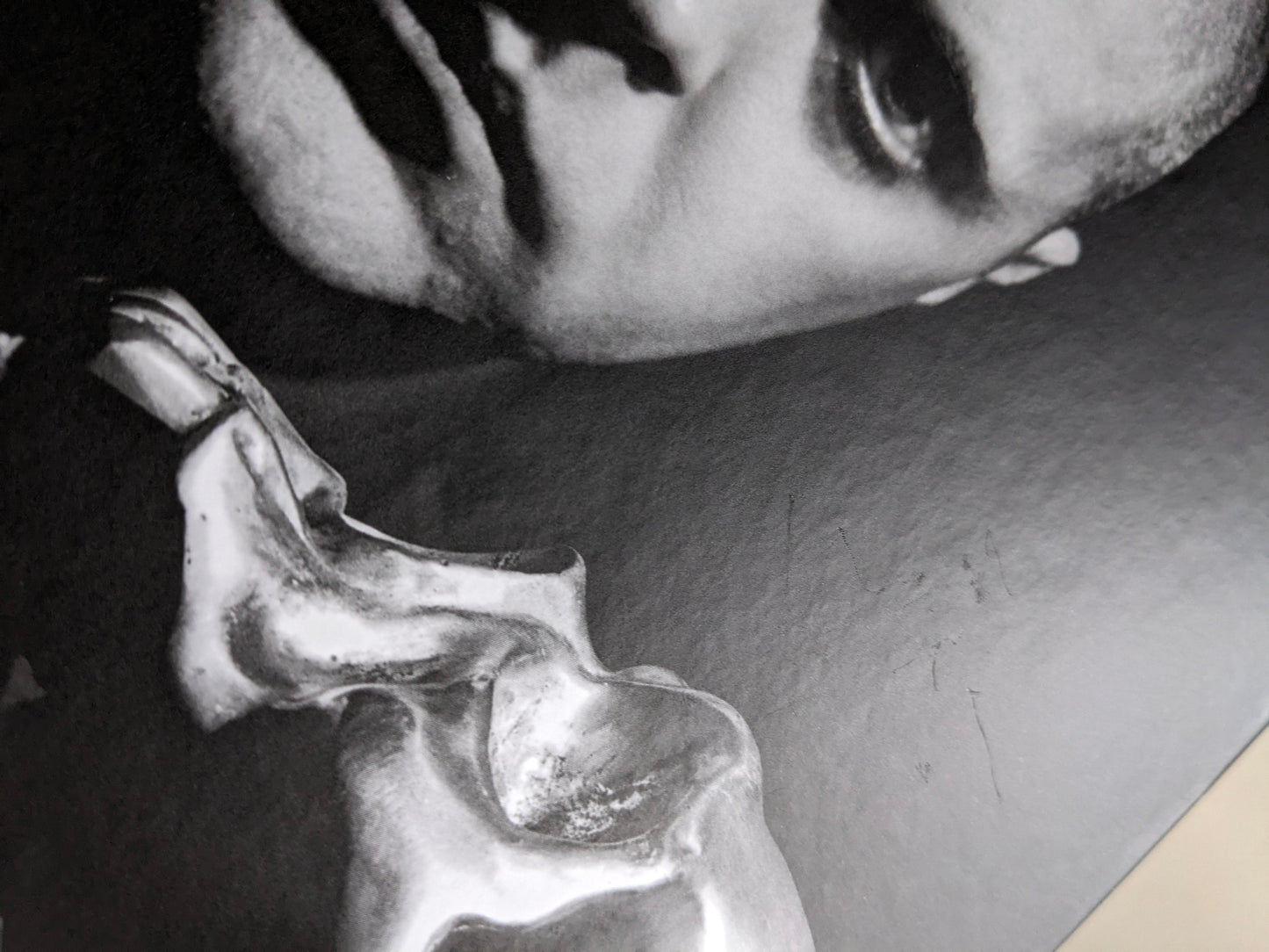 Condition photo: light surface scratches on the cover of “The Last Slogan” (close-up).