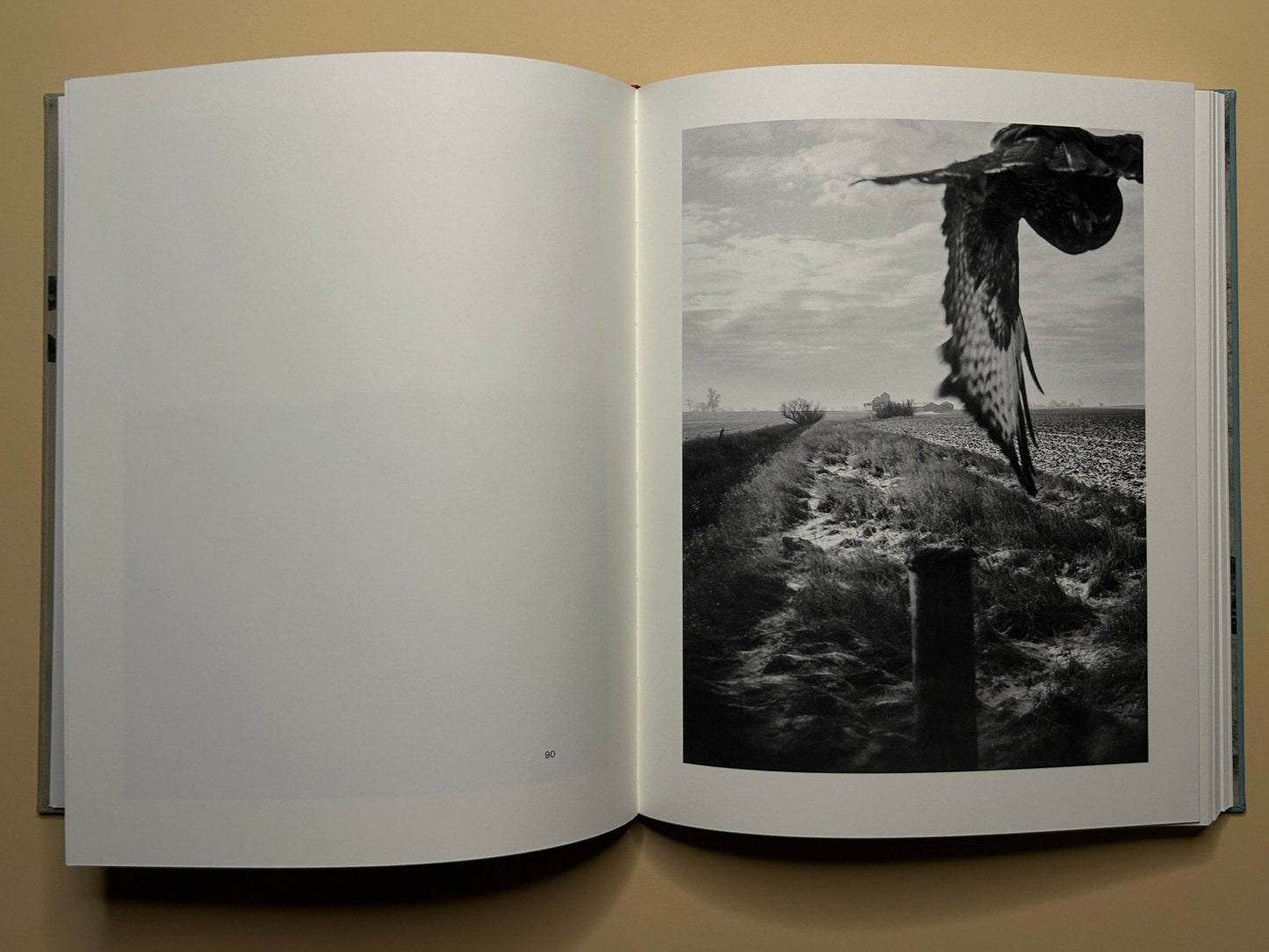 Open spread from The Pillar by Stephen Gill, black and white photograph of a bird taking flight over a rural landscape