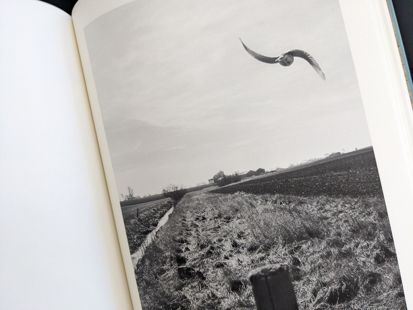 Black and white landscape photograph with bird in flight over fields, from The Pillar by Stephen Gill
