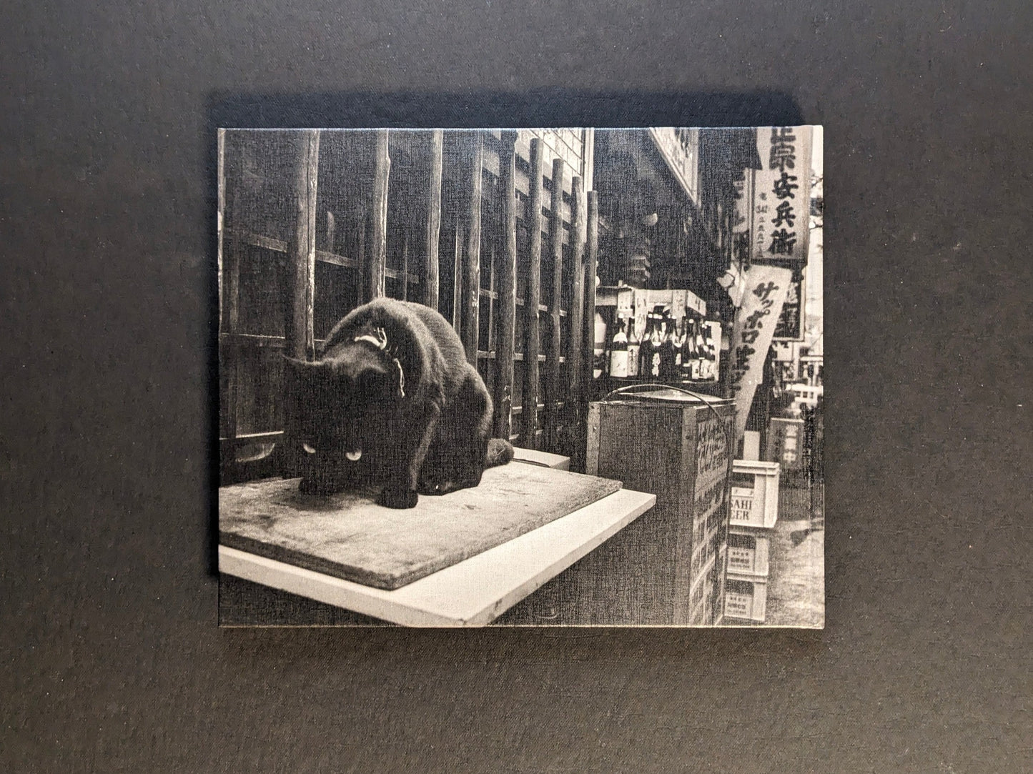 Back cover of Tokyo on the Brink of Sanity by Yoshio Mizoguchi, showing a black-and-white cat.