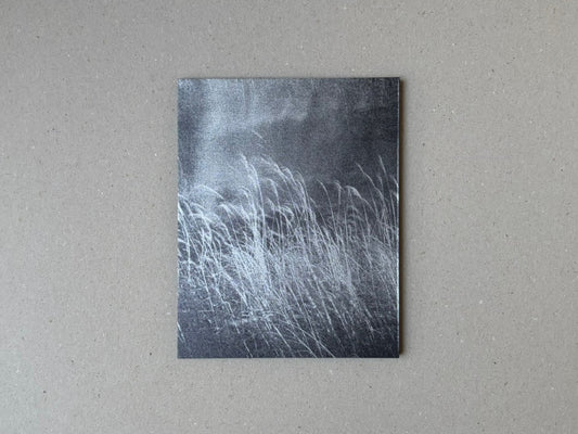 torikumo by Haruka Fujita, front cover with a dark photograph of grasses against a grey background