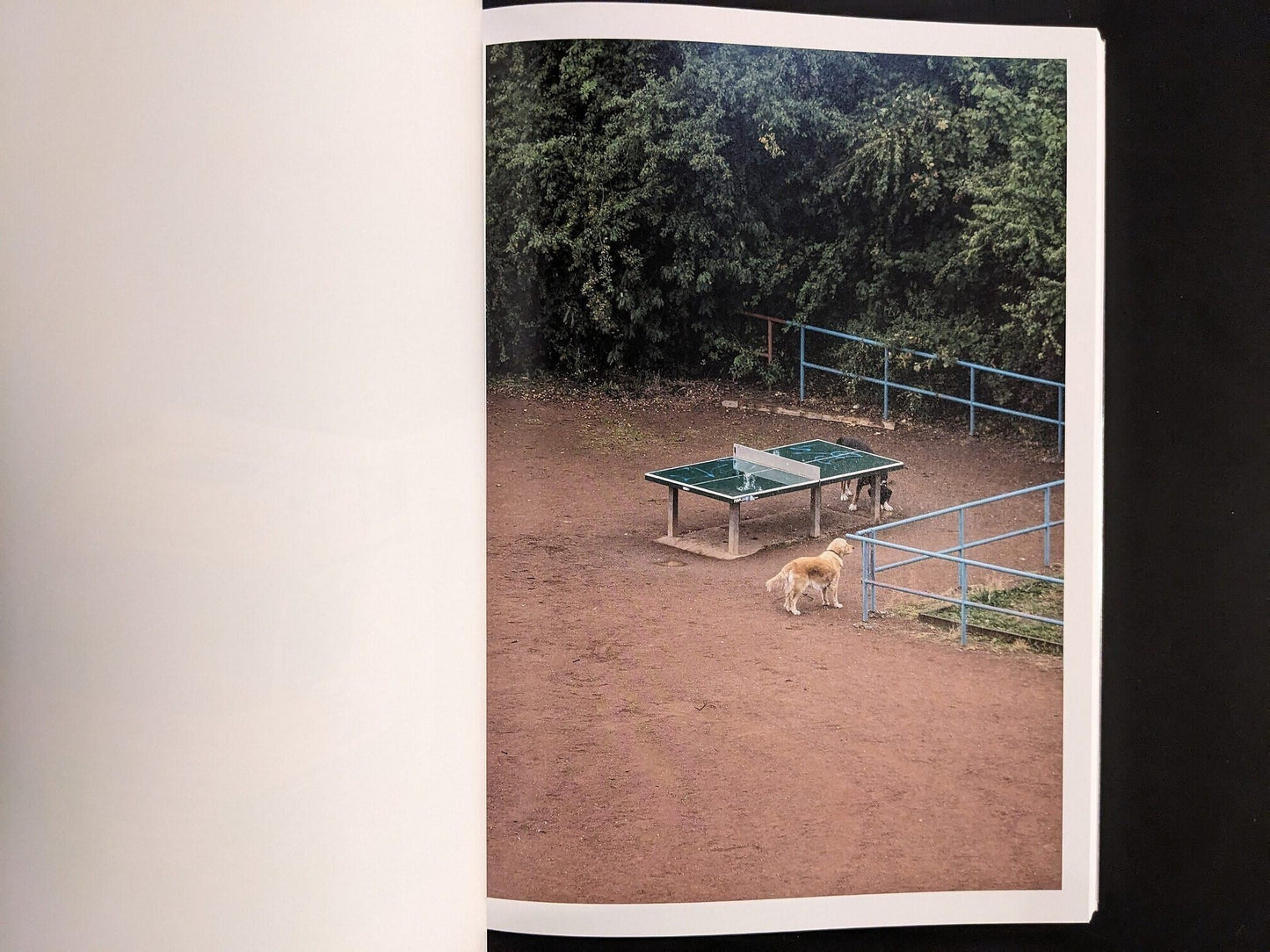 Photograph from TTP by Hayahisa Tomiyasu showing a dog moving around the table tennis area.