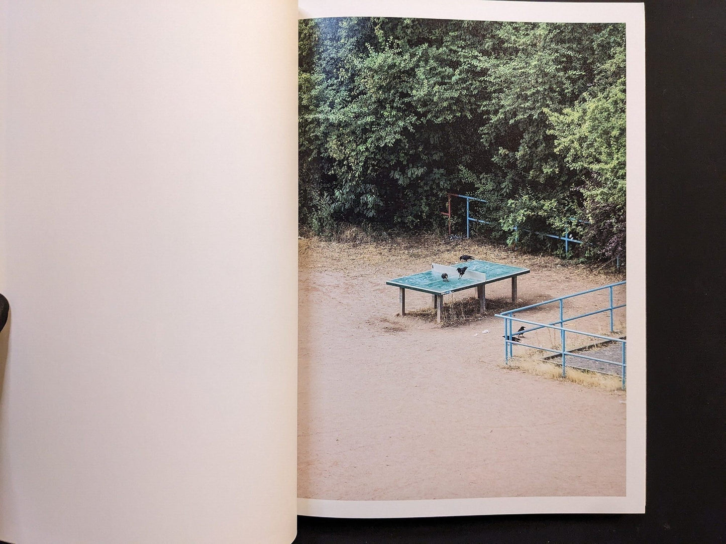 Photograph from TTP by Hayahisa Tomiyasu showing an empty ping pong table surrounded by greenery.