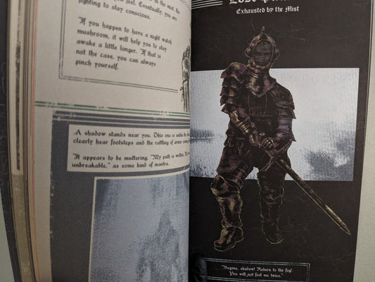 Interior page with the shadowy armored warrior Lost Pride and survival instructions set in mist