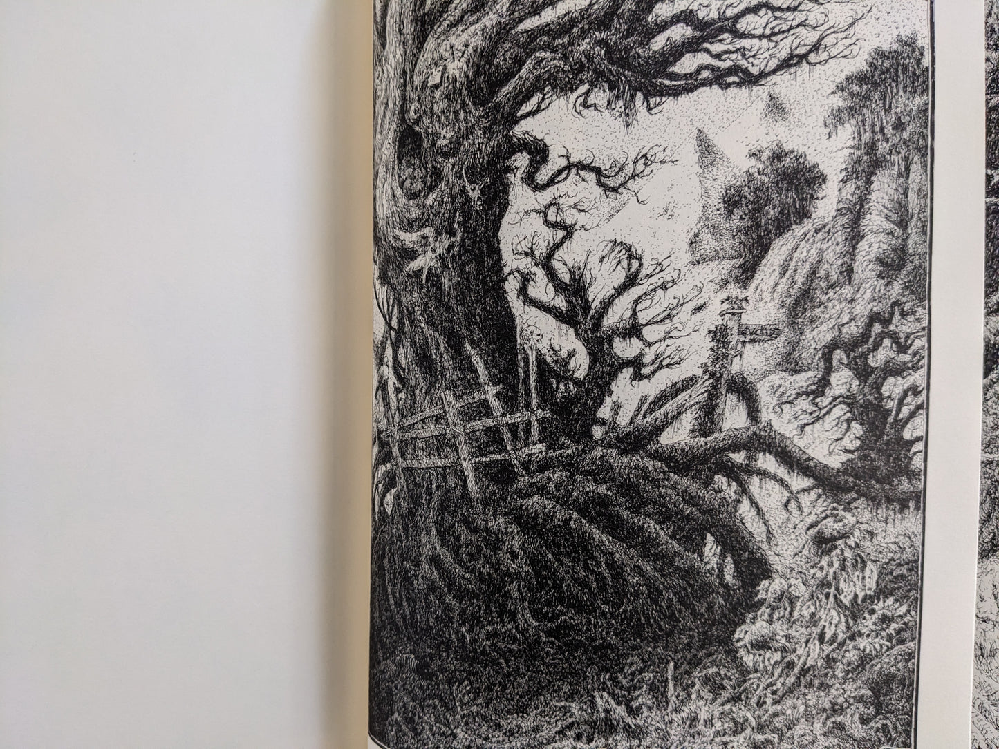 Landscape with gnarled trees and a distant mountainous path from 'Voodoo Forest'