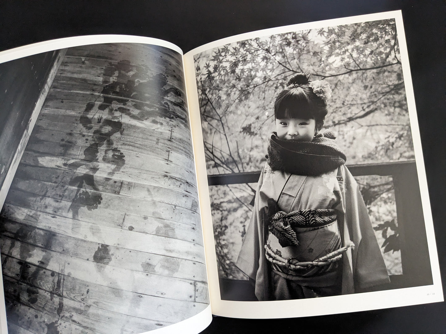 Portrait of a young girl in kimono from Wandering Dog by Mai Nakama