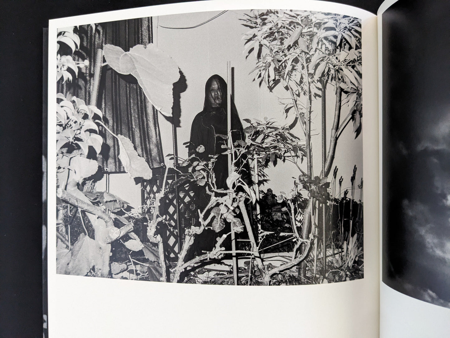 Portrait of a person surrounded by plants from Wandering Dog by Mai Nakama