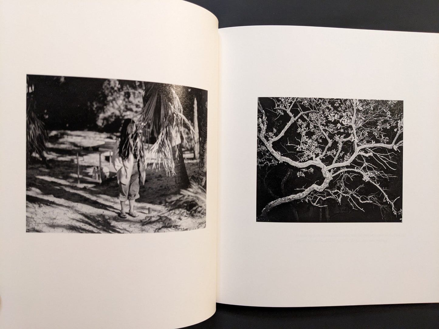 Pages showing two black-and-white images from i shall sing these songs beautifully — a woman walking and a tree branch detail.