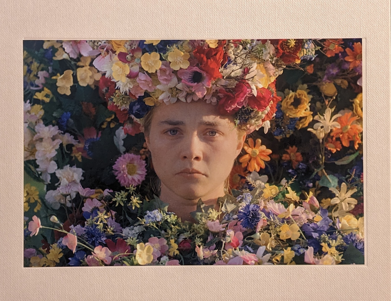 Portrait of a person framed by dense multicoloured flowers.