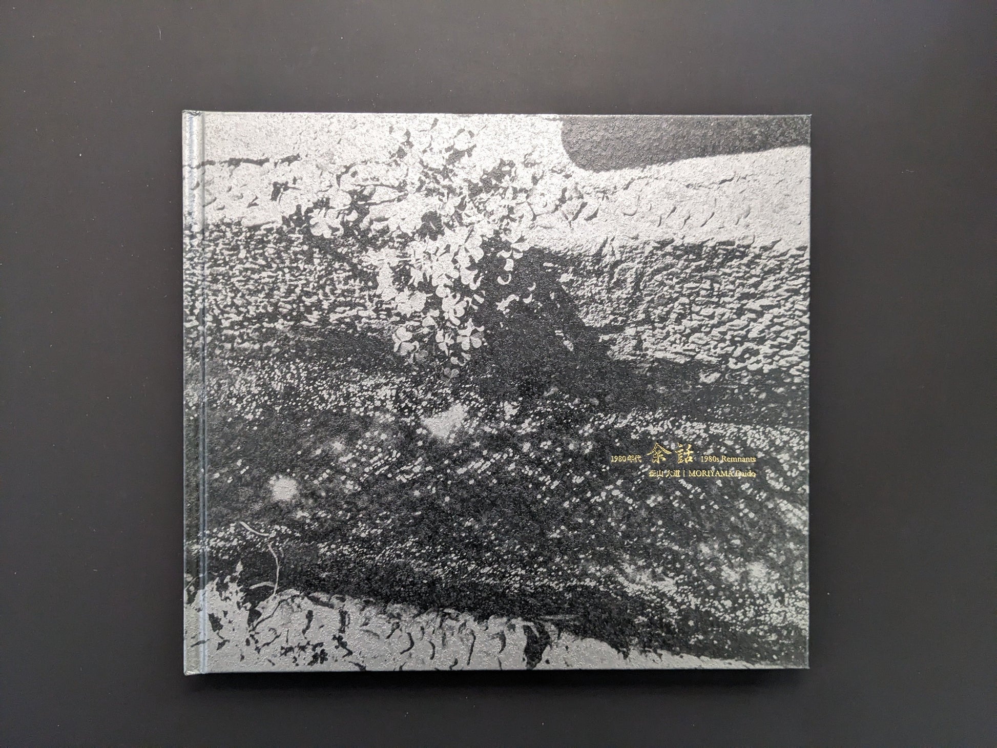 Front cover of 1980s Remnants by Daido Moriyama with textured monochrome artwork