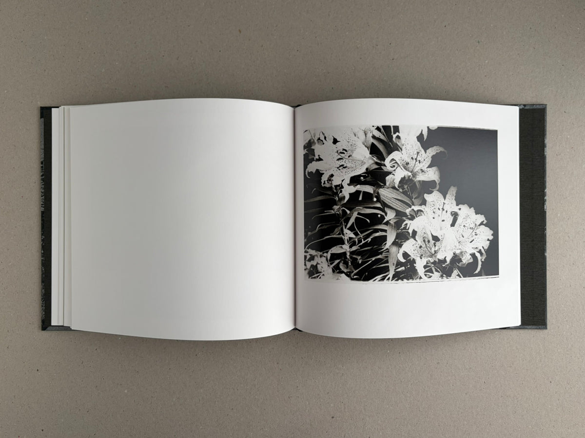 Open spread of 1980s Remnants by Daido Moriyama, showing a black-and-white flower photograph on the right page and a blank left page.