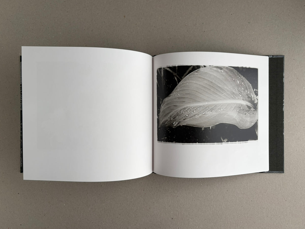 Open spread of 1980s Remnants by Daido Moriyama, showing a black-and-white photograph of a leaf on the right page and a blank left page.