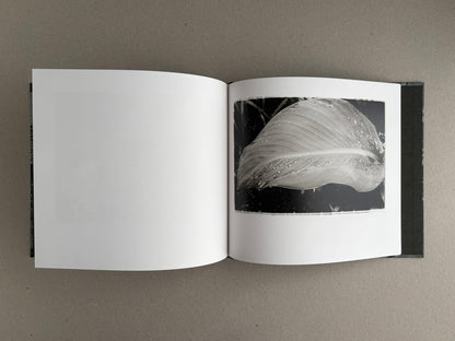 Open spread of 1980s Remnants by Daido Moriyama, showing a black-and-white photograph of a leaf on the right page and a blank left page.