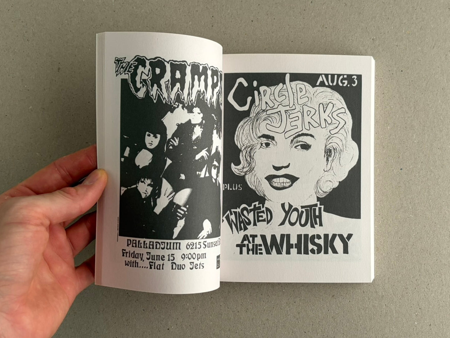 Punk Flyers (1975–2020)