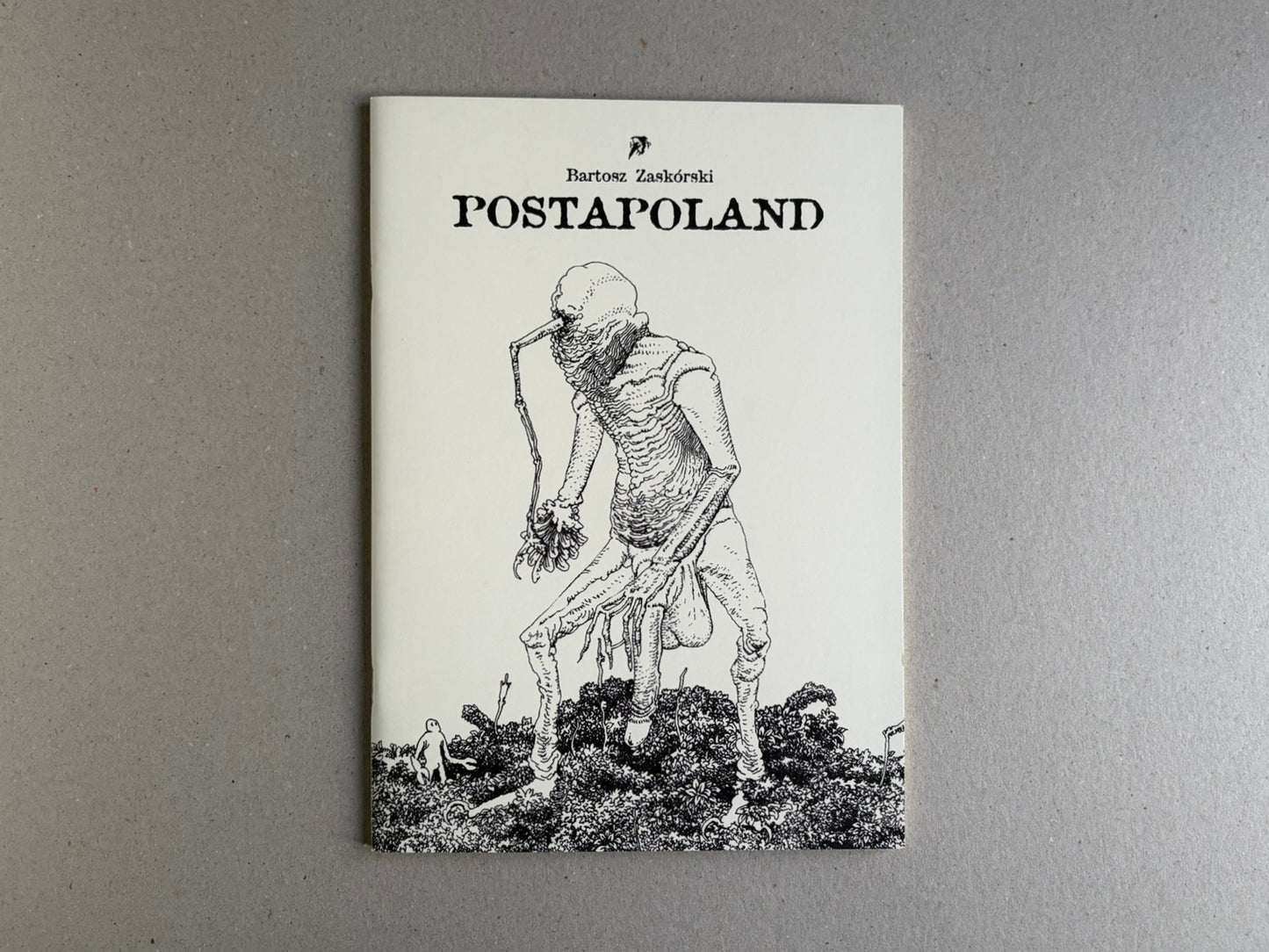 Postapoland — Bartosz Zaskòrski