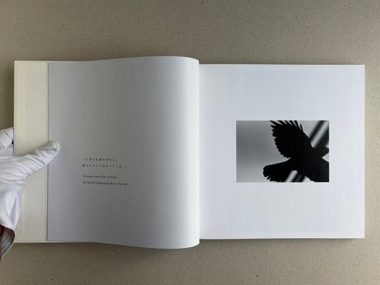 Yoko – Masahisa Fukase