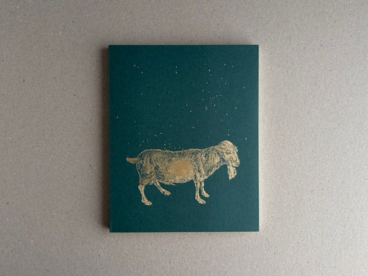 Sleep Creek – Dylan Hausthor & Pia Paulina Guilmoth