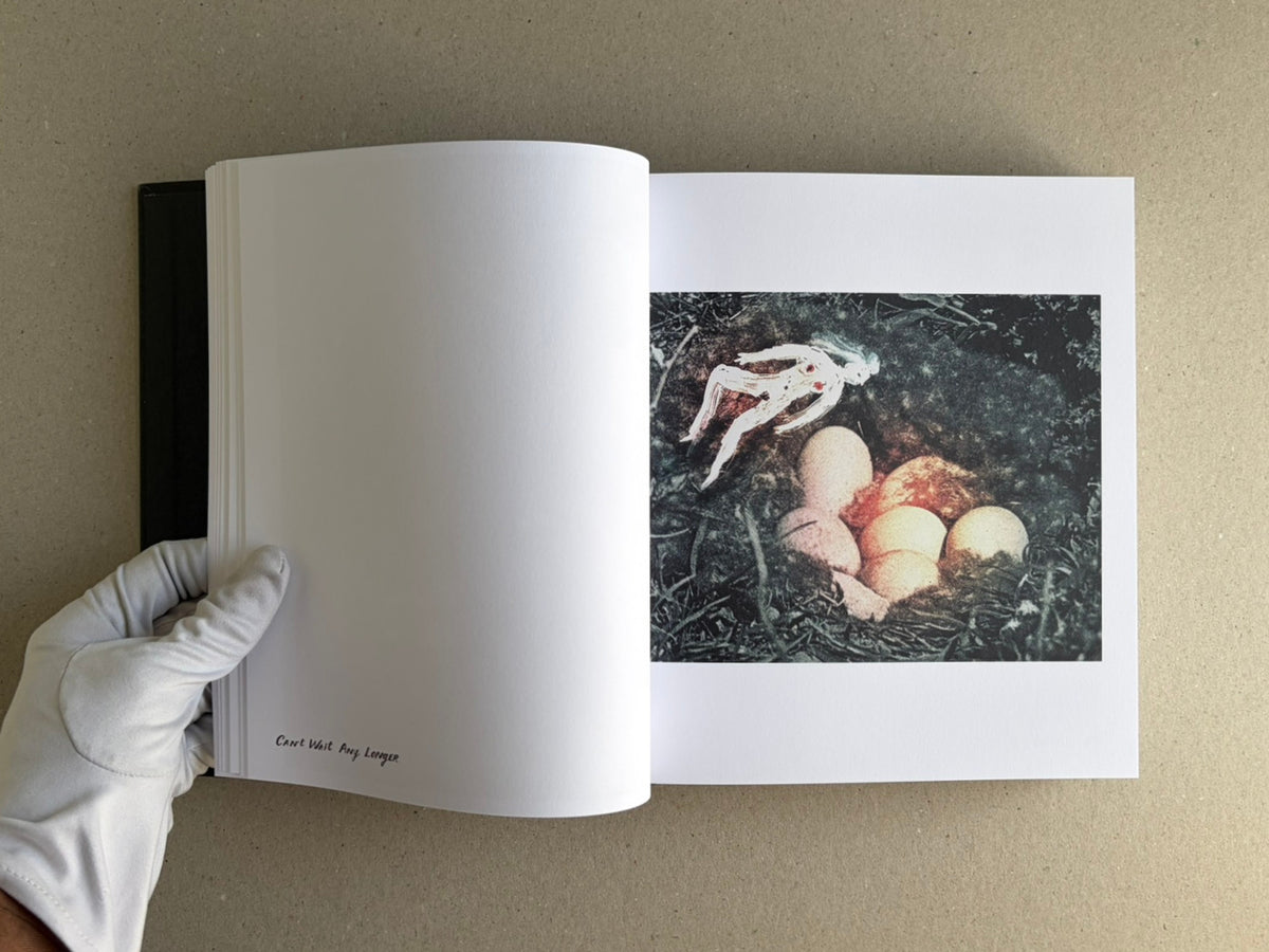 The Fire That Drank The Shadow – Deluxe Edition (Julia Soboleva)