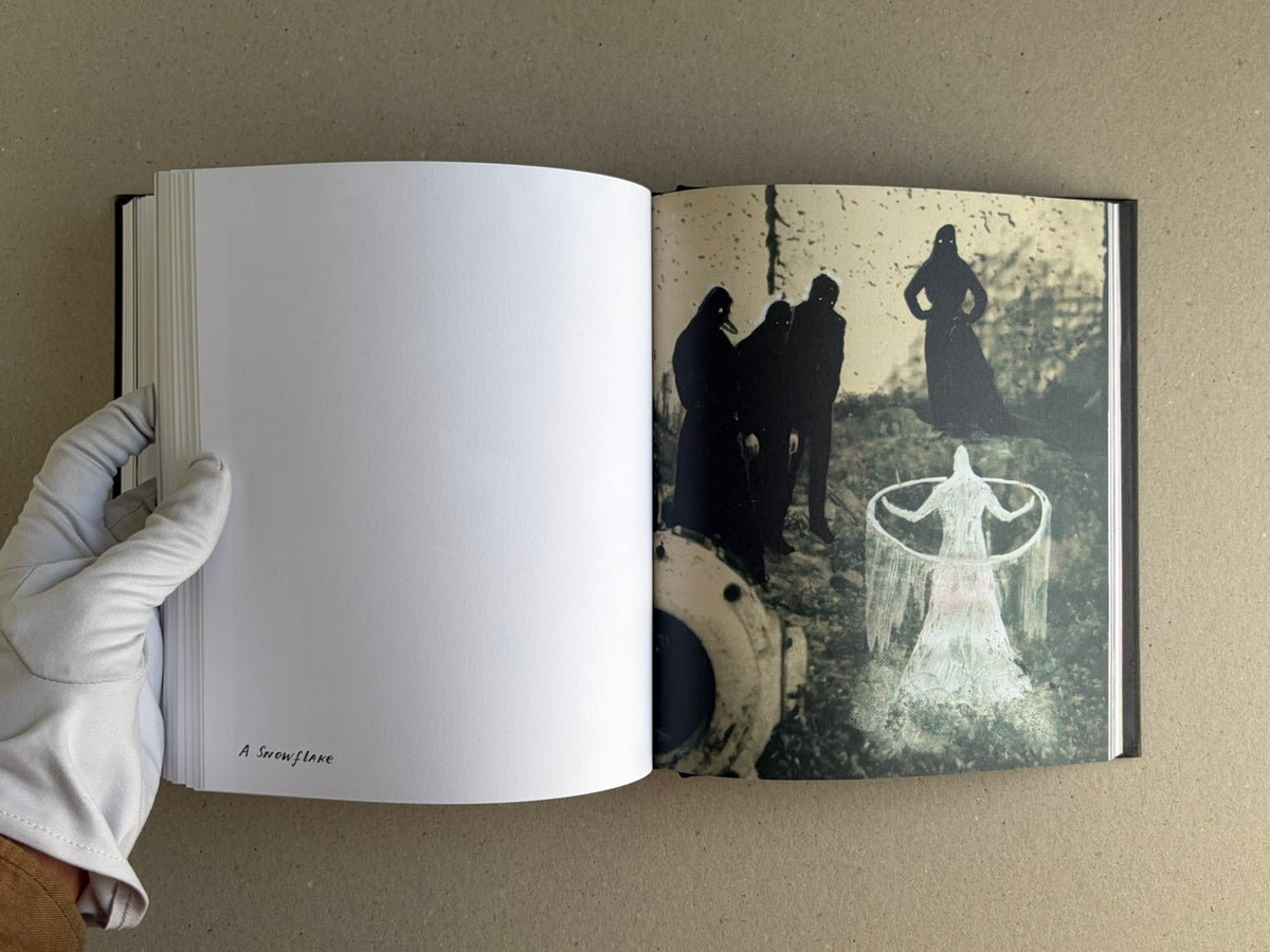 The Fire That Drank The Shadow – Deluxe Edition (Julia Soboleva)