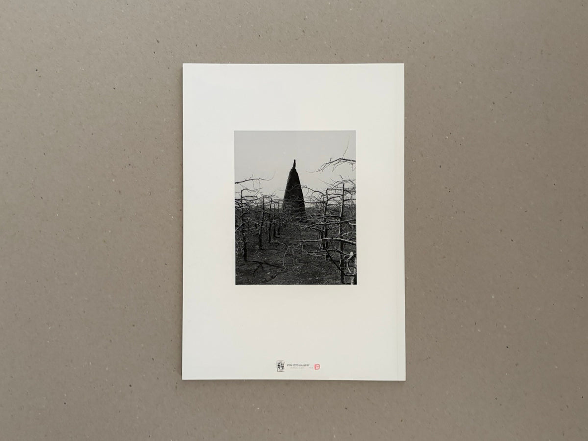 The Ancient Towers – Zhang Yu-Ming