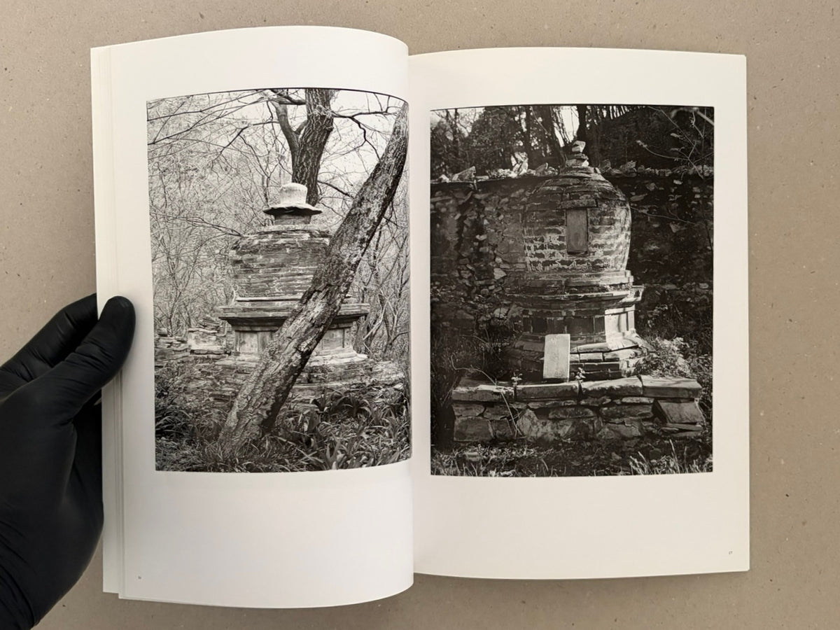 The Ancient Towers – Zhang Yu-Ming