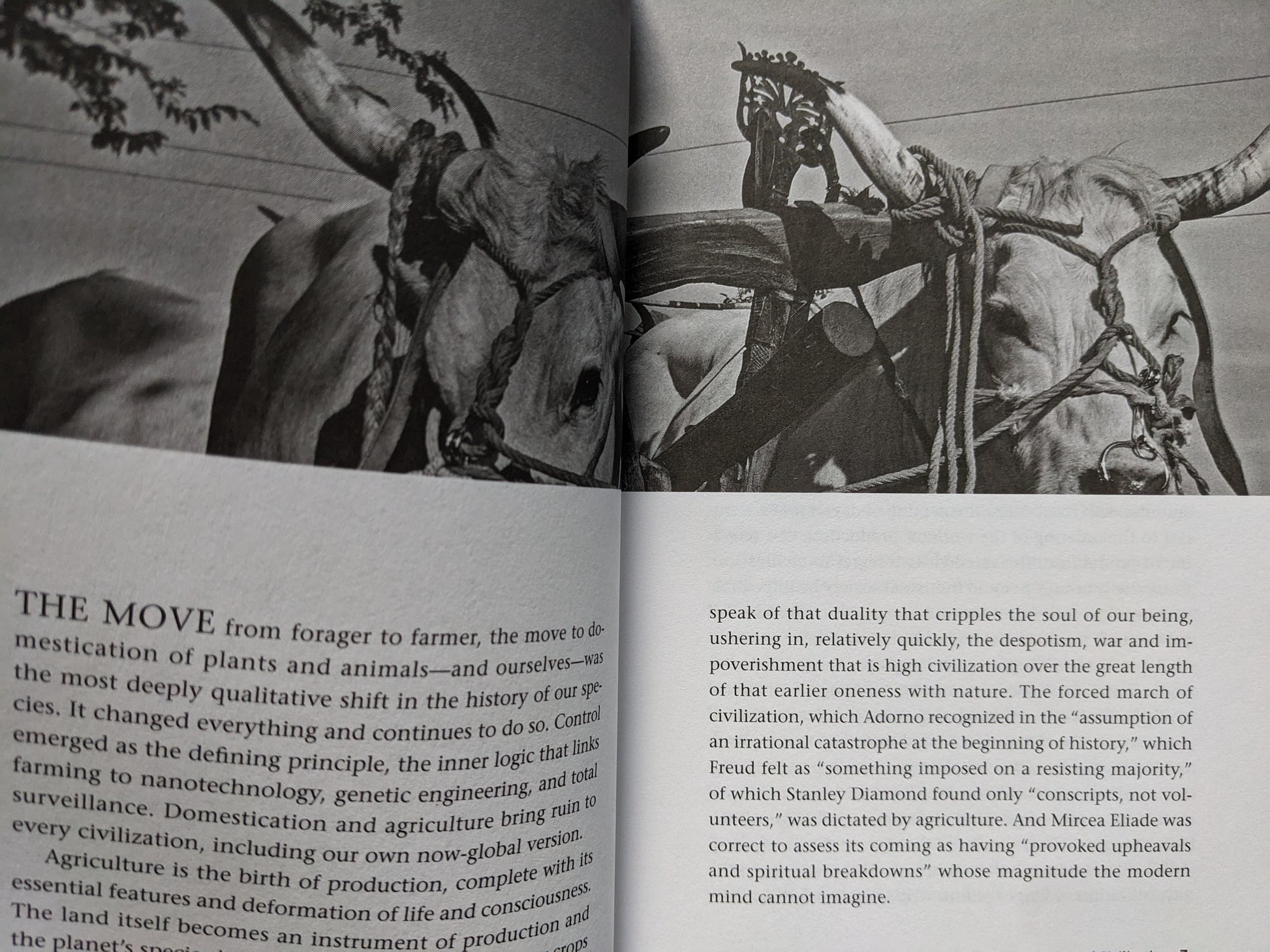 Interior page from A People’s History of Civilization – oxen imagery and critique of domestication and agriculture