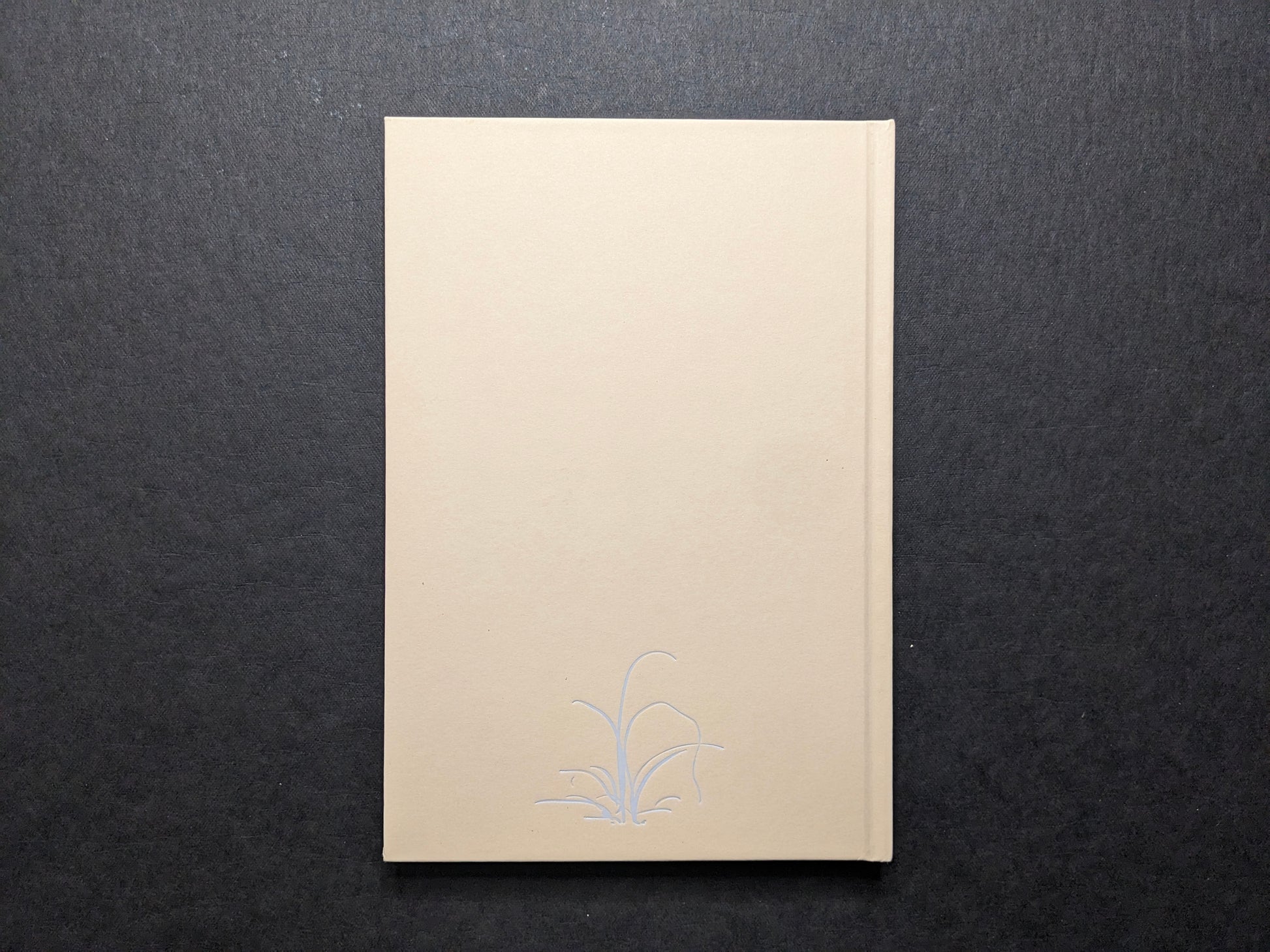Back cover of A Season Particular by Shen Wei, beige board with a small embossed plant motif.