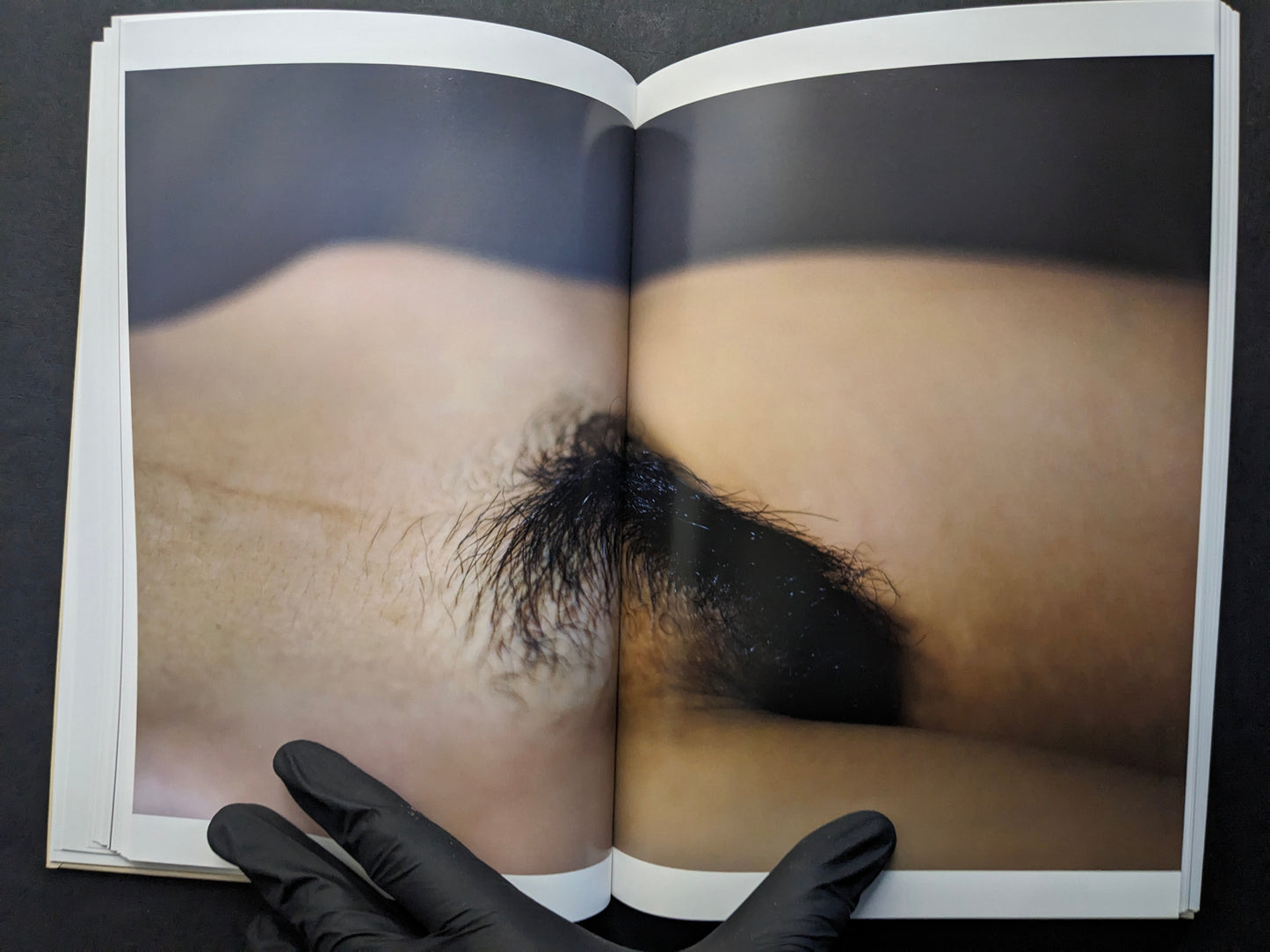 Interior spread with an abstracted close-up of a body in soft focus.