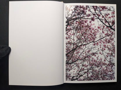 Interior spread from A Season Particular showing pink blossoms on tree branches.