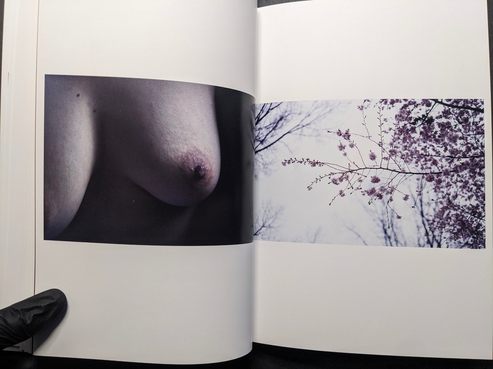Interior spread juxtaposing a close-up of a bare body and a photograph of cherry blossom branches.