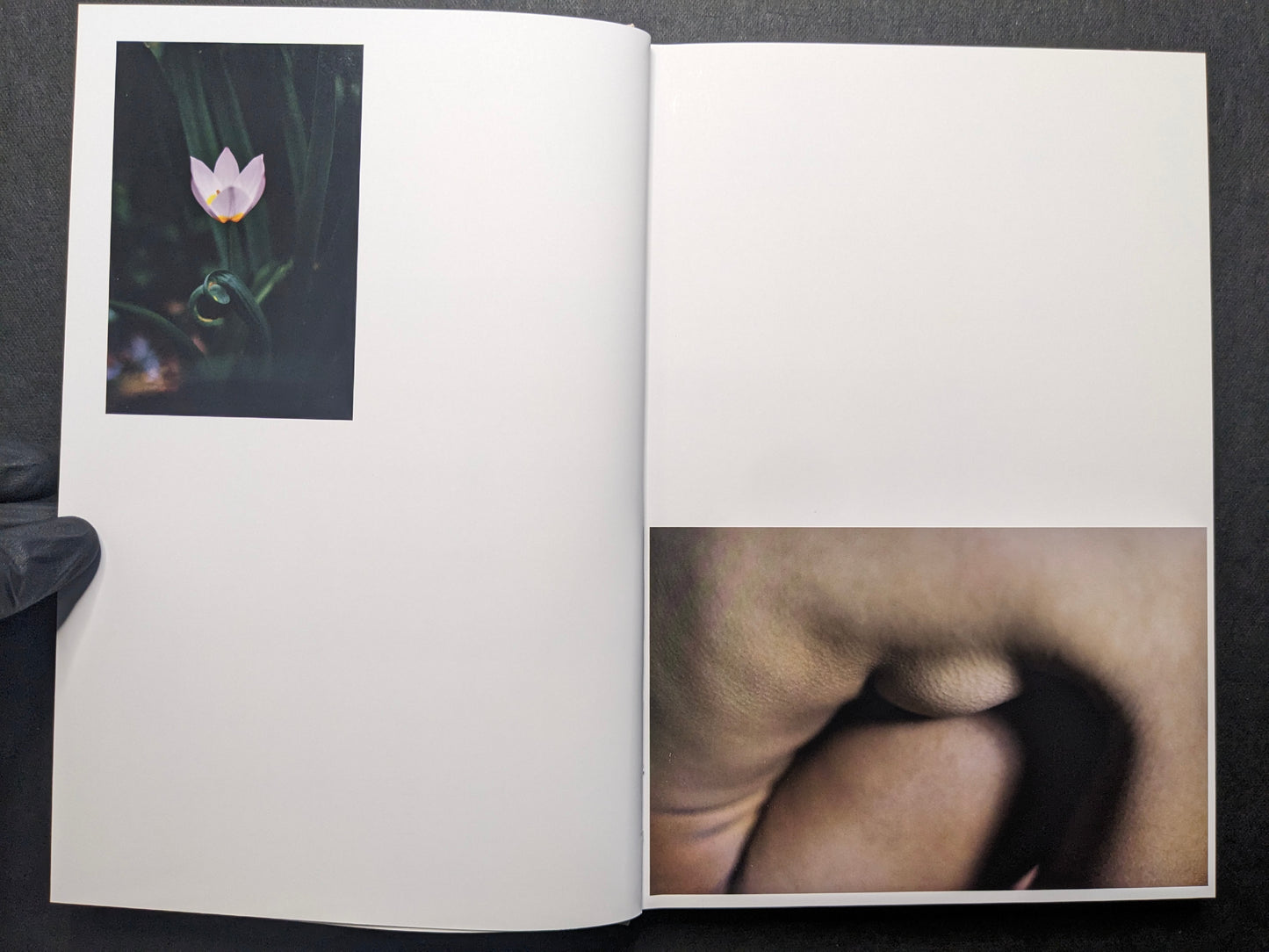 Interior spread showing a small flower photograph and a soft-focus close-up of bare skin.