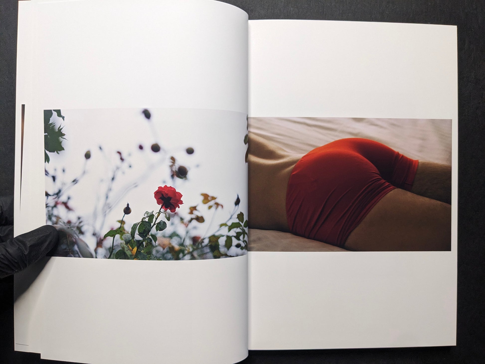 Interior spread with a blurred red rose on the left and a close-up of a figure in red underwear on the right.