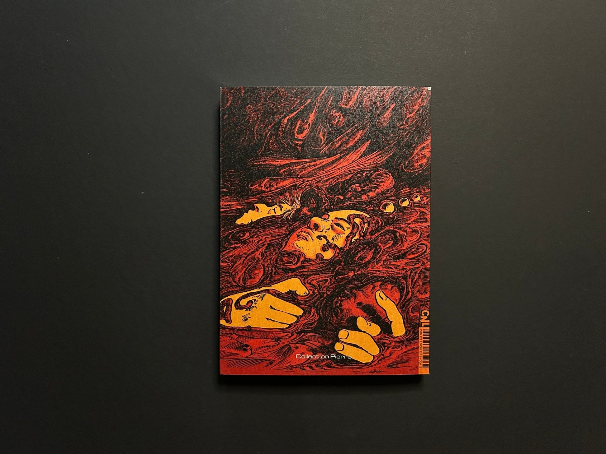 Back cover of Akutézoïde, featuring a red and black illustration with a face and hands emerging from swirling forms.